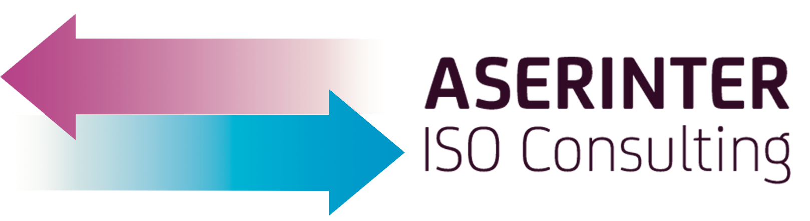 Aserinter ISO Consulting