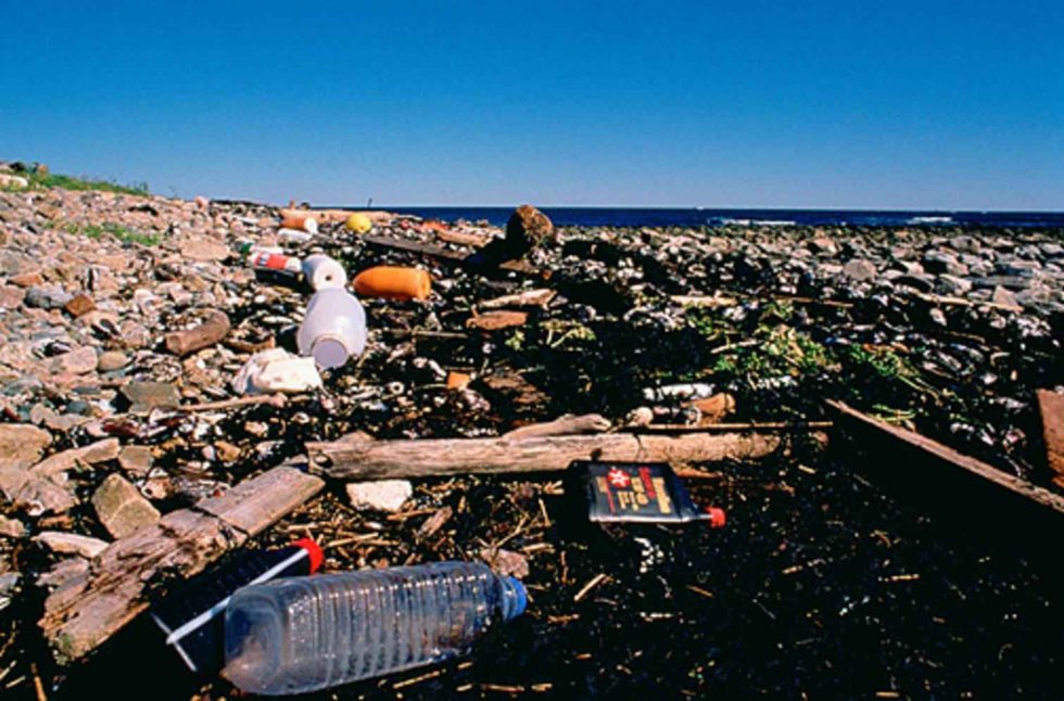 El Gobierno da pasos para minimizar el problema medioambiental y de salud de los residuos plásticos.